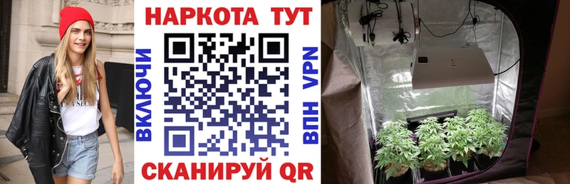 Где продают наркотики Нефтекамск Альфа ПВП  Конопля  Псилоцибиновые грибы  Мефедрон  Гашиш  Кокаин 