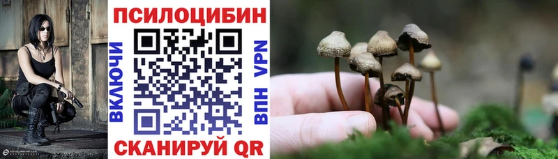 наркошоп  Нефтекамск  Псилоцибиновые грибы Psilocybine cubensis 