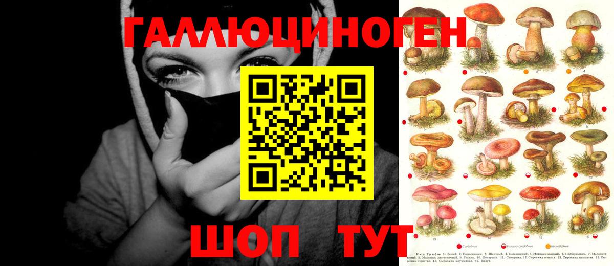 Псилоцибиновые грибы Cubensis Нефтекамск