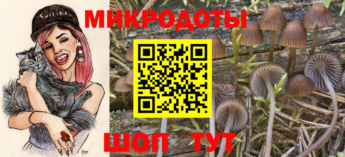 Псилоцибиновые грибы Magic Shrooms Нефтекамск